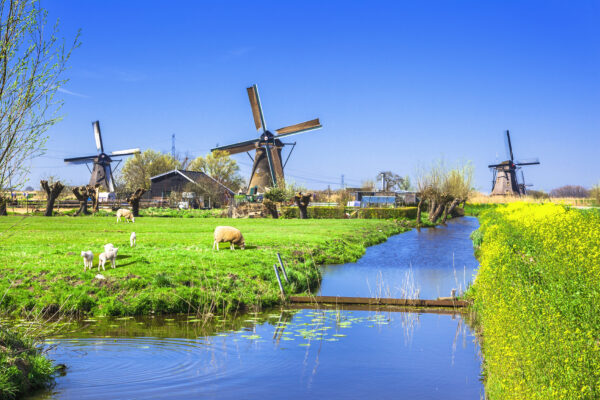 Kinderdijk,Netherlands.